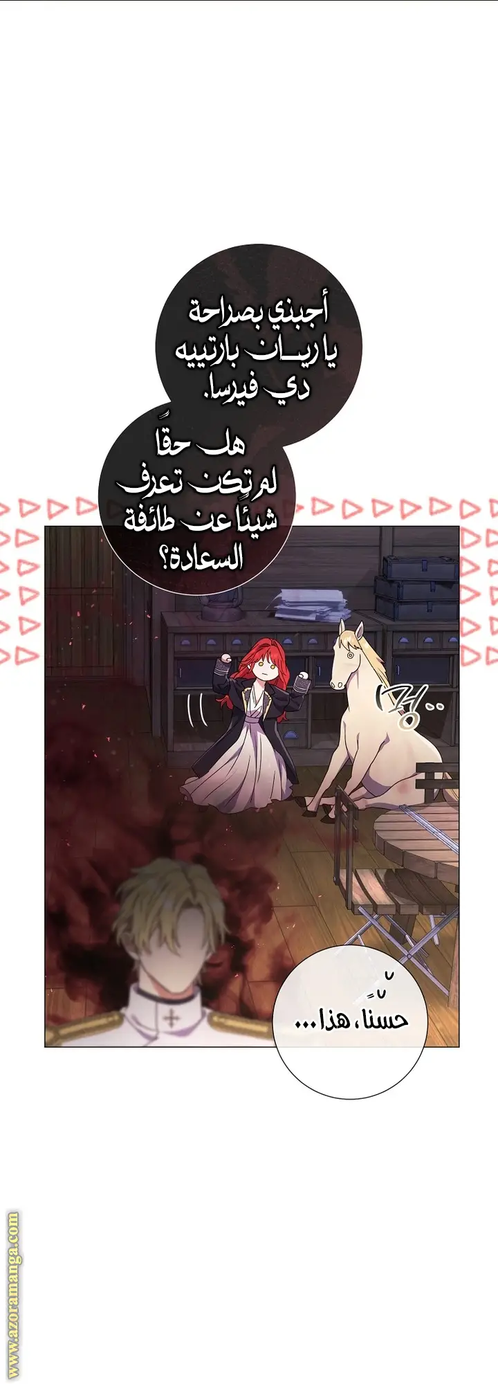 الصفحة 17
