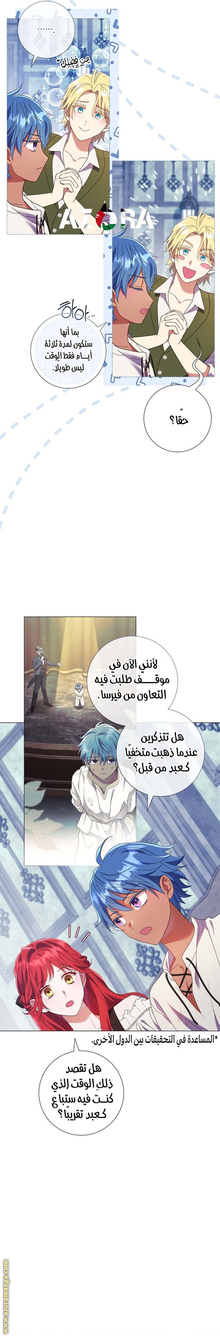 الصفحة 17