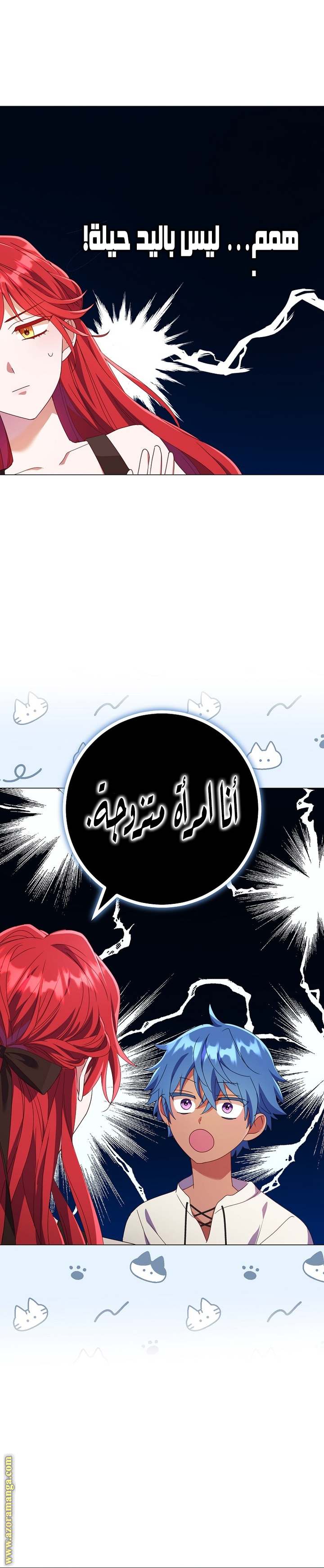 الصفحة 21