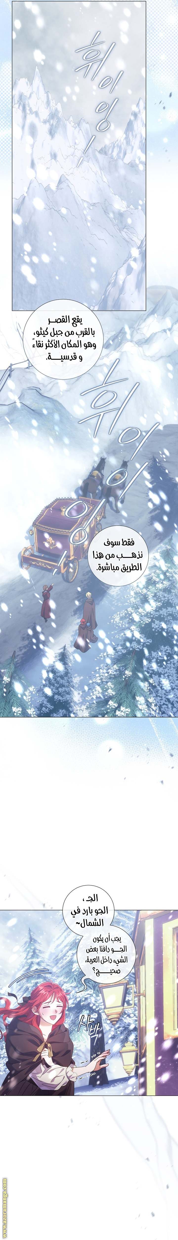 الصفحة 25