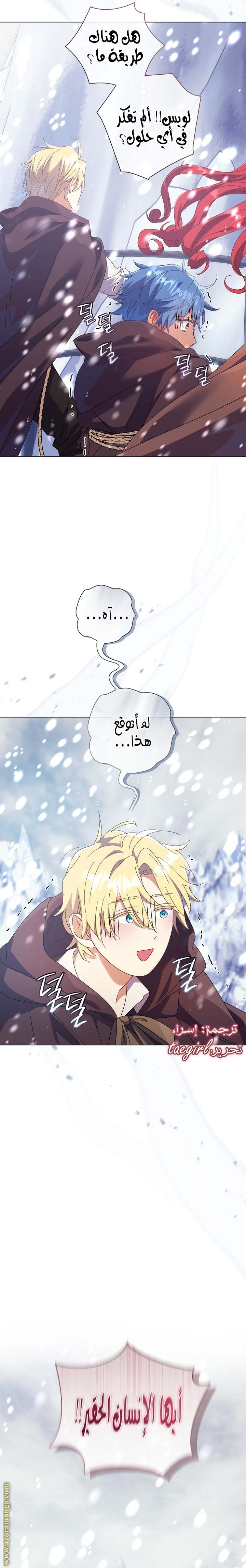 الصفحة 29