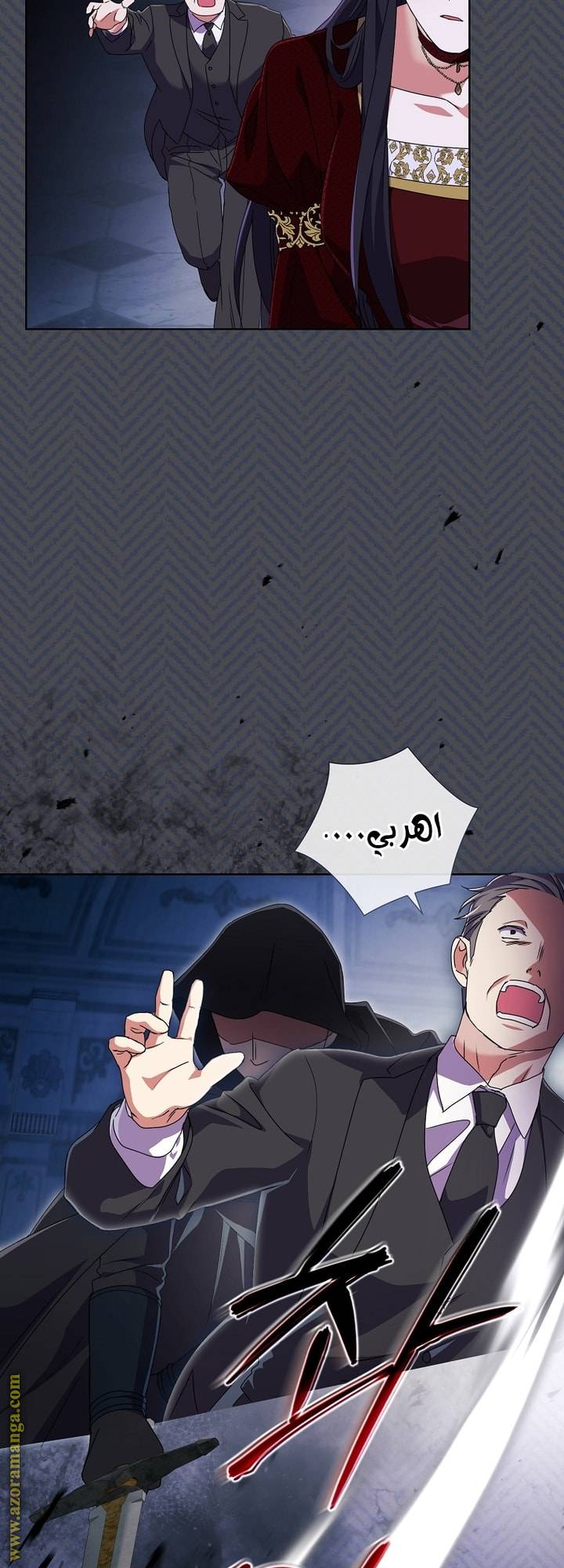 الصفحة 17