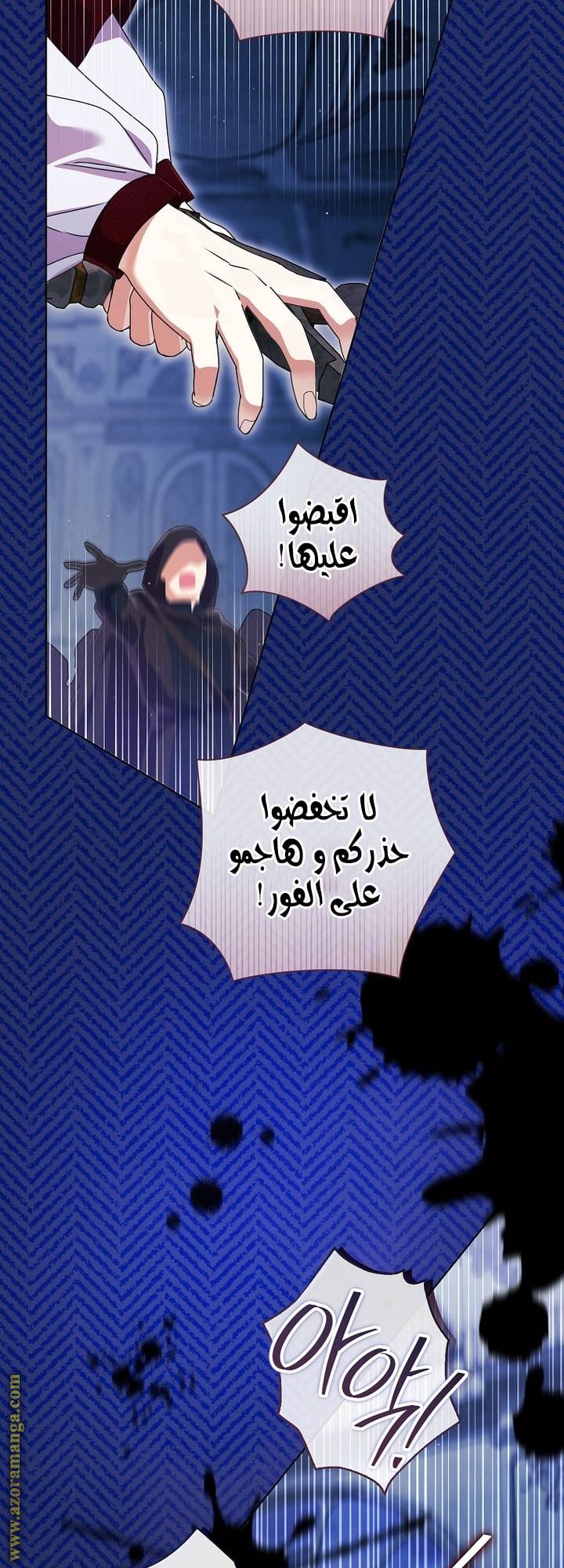 الصفحة 29