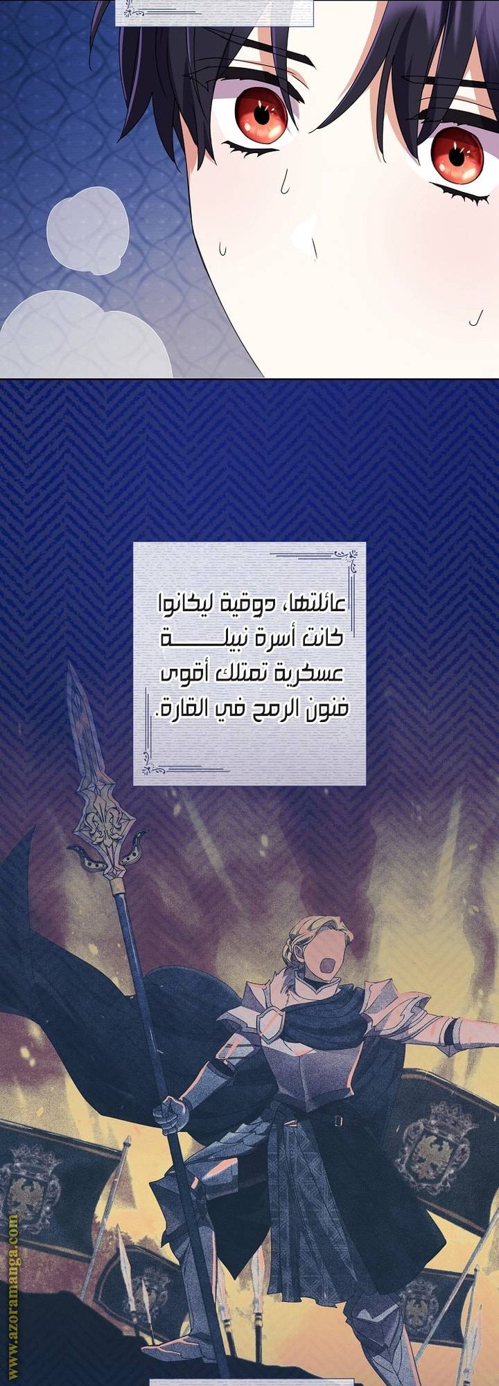 الصفحة 43