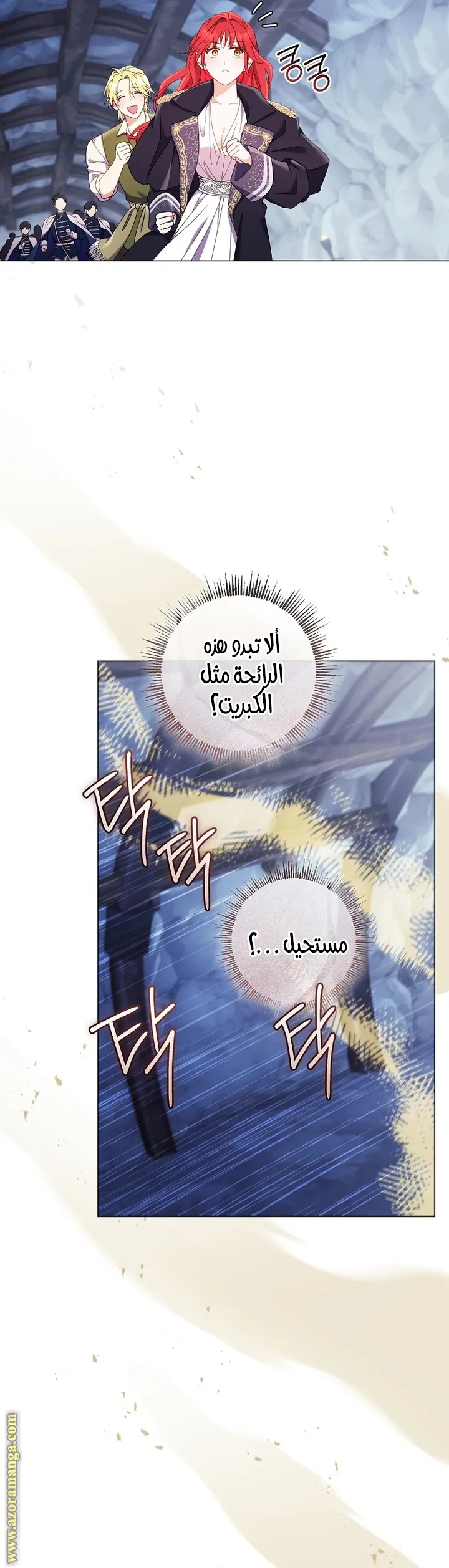 الصفحة 43