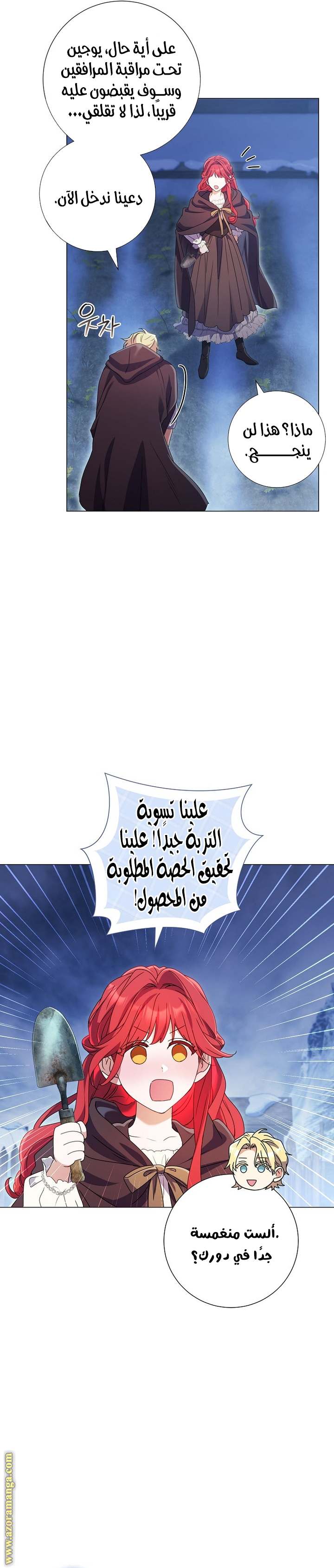 الصفحة 14