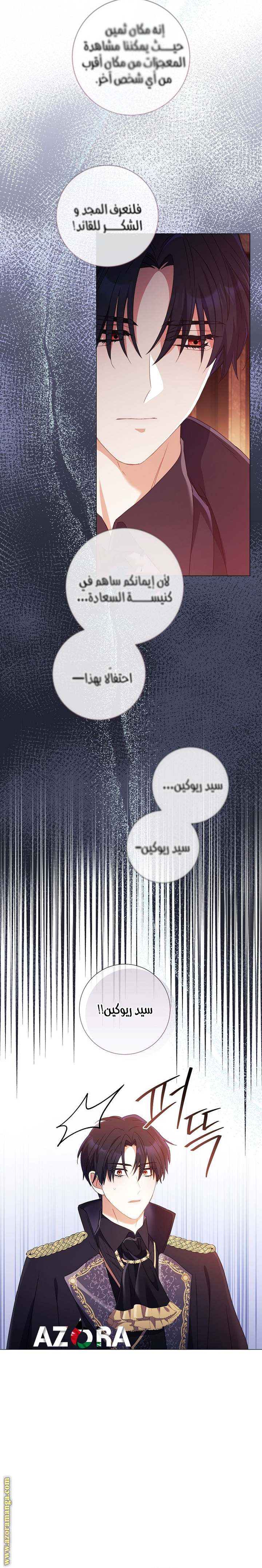 الصفحة 29