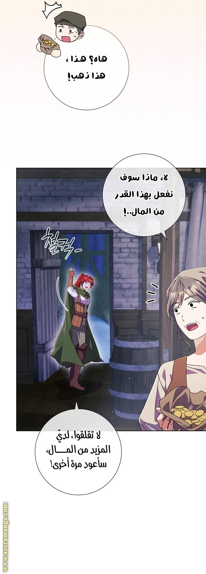 الصفحة 17