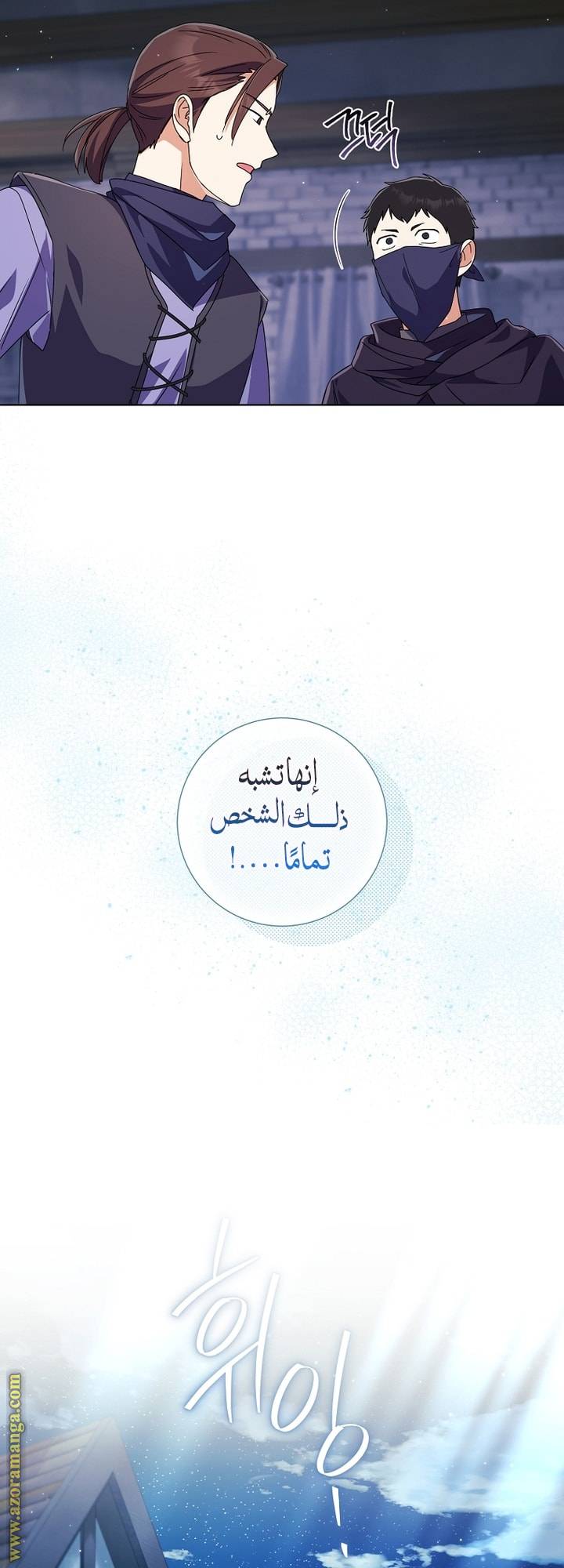 الصفحة 19
