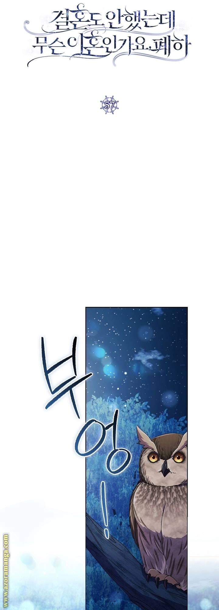 الصفحة 25