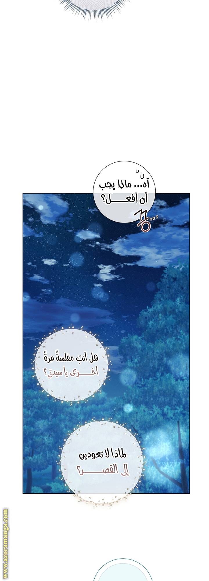 الصفحة 31