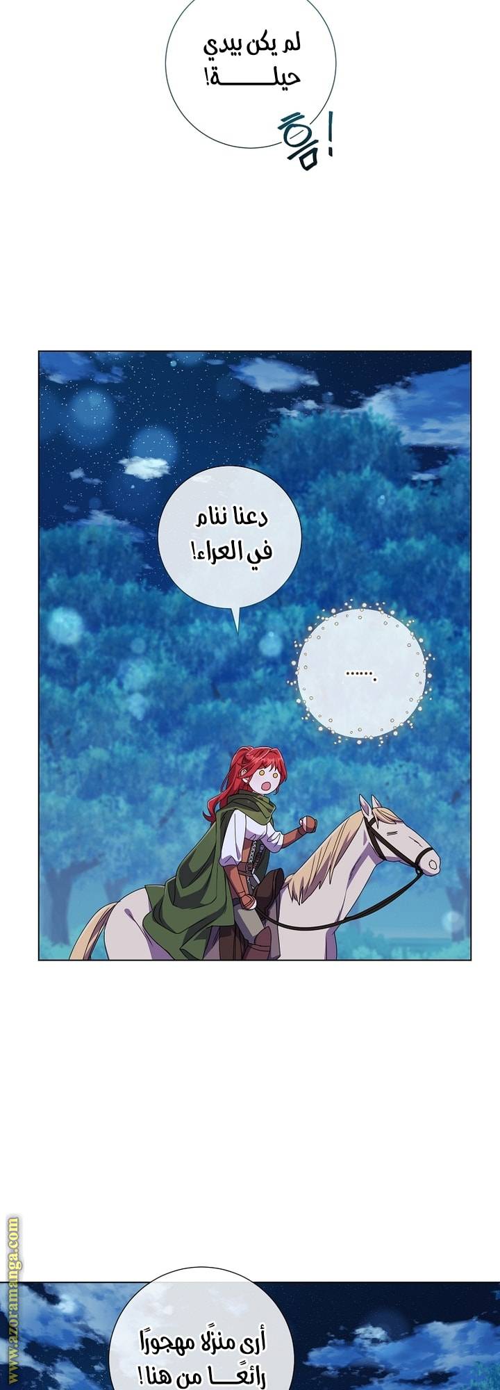 الصفحة 33