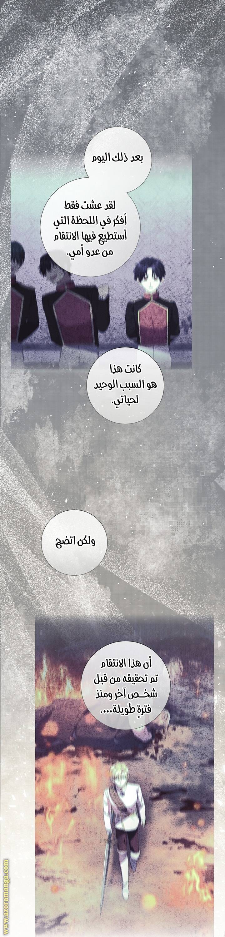 الصفحة 31