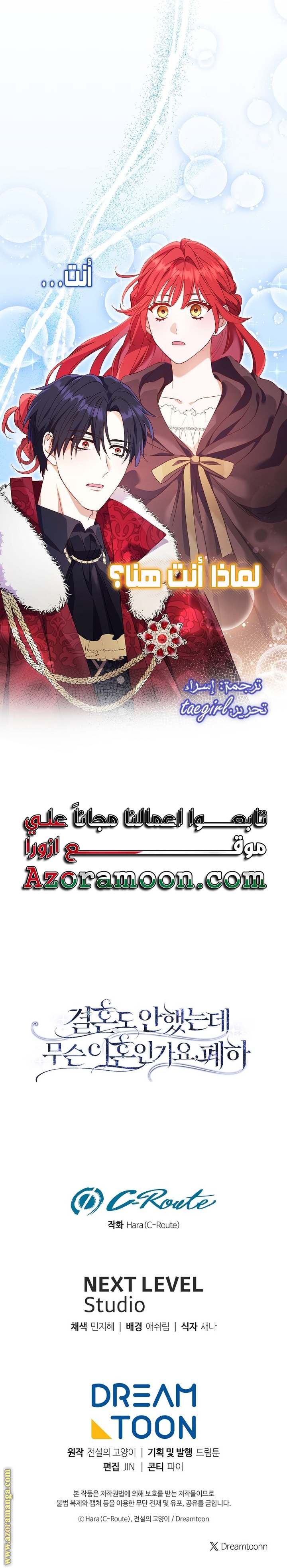 الصفحة 27