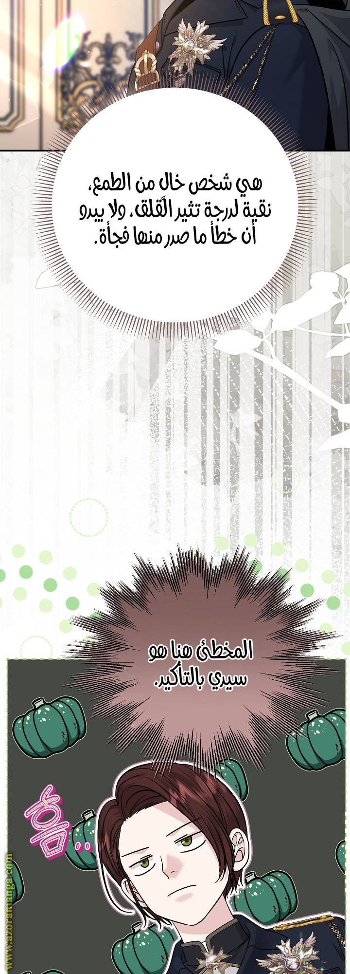 الصفحة 13