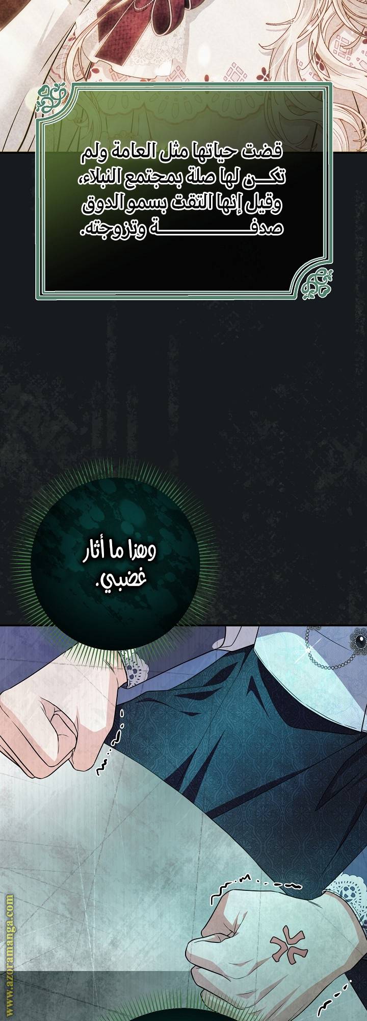 الصفحة 29