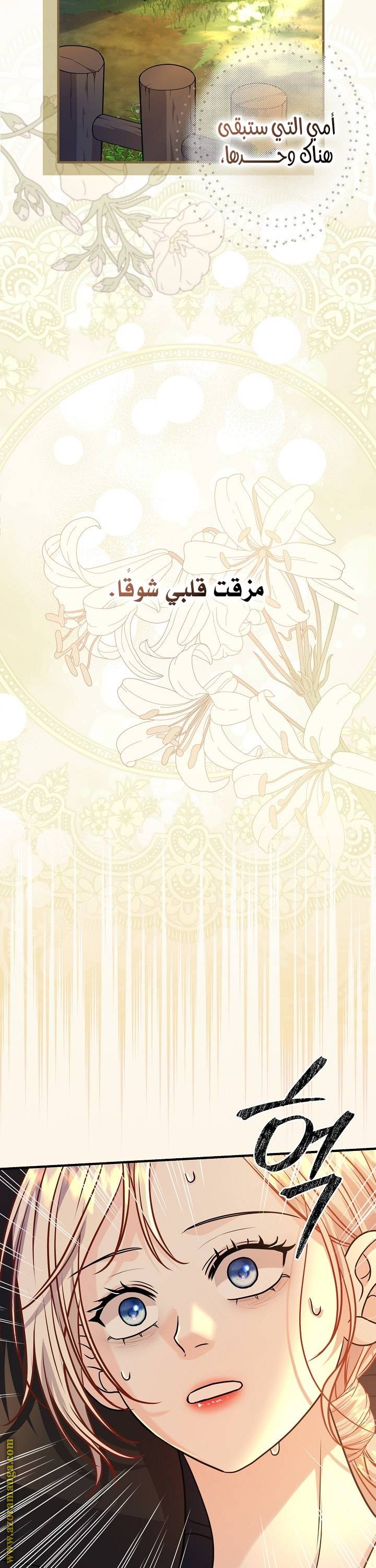 الصفحة 20