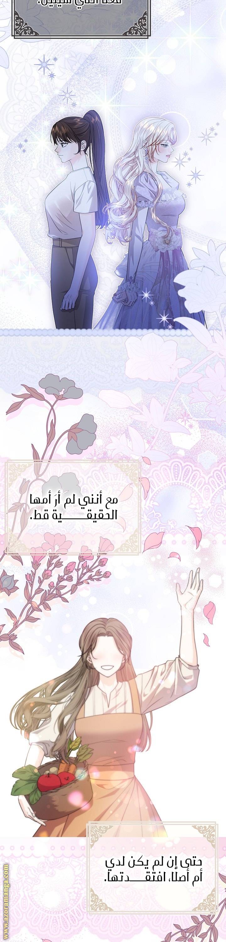 الصفحة 27