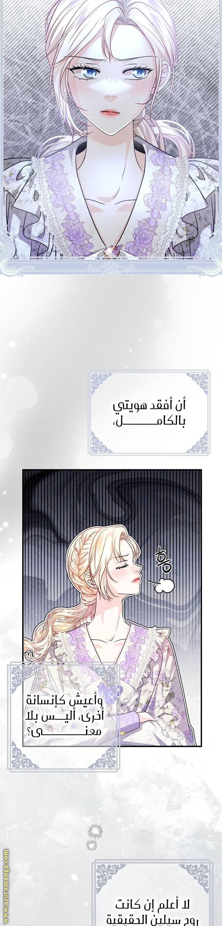 الصفحة 29