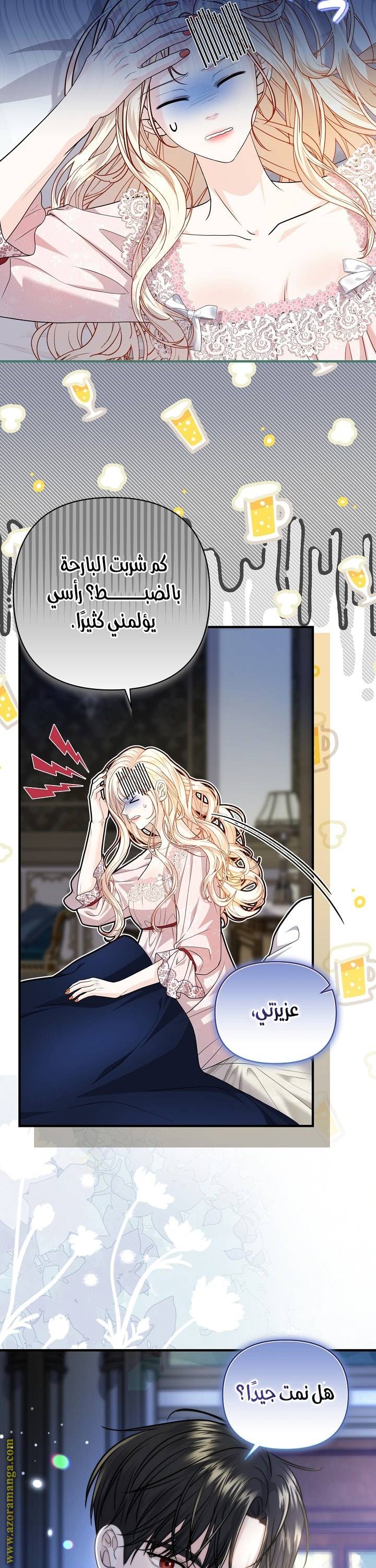 الصفحة 17