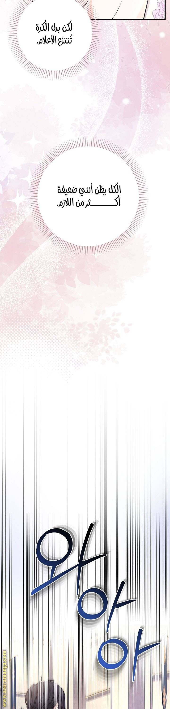 الصفحة 27