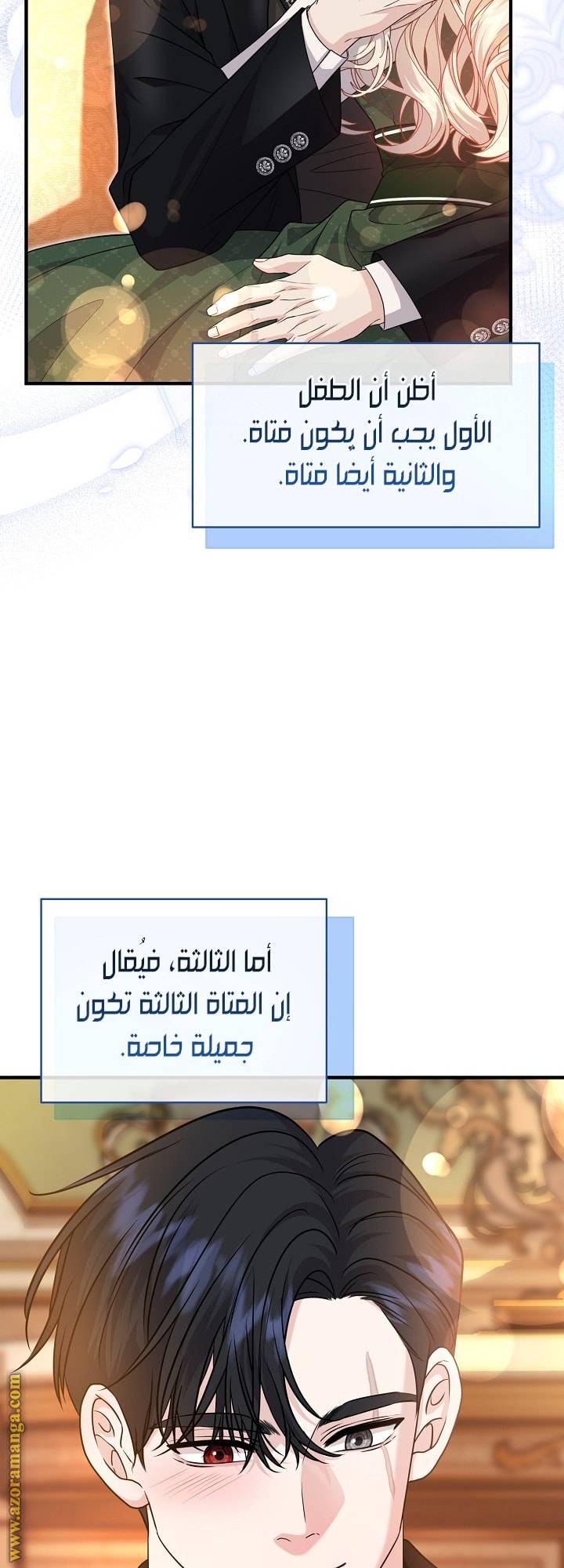 الصفحة 17