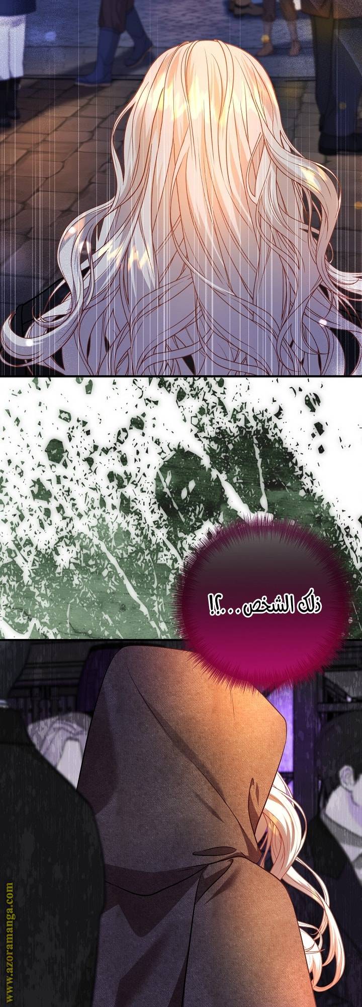 الصفحة 25