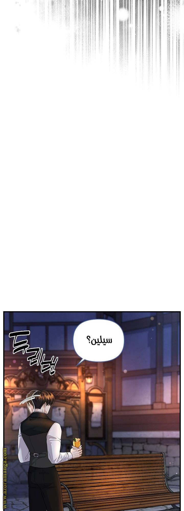الصفحة 48