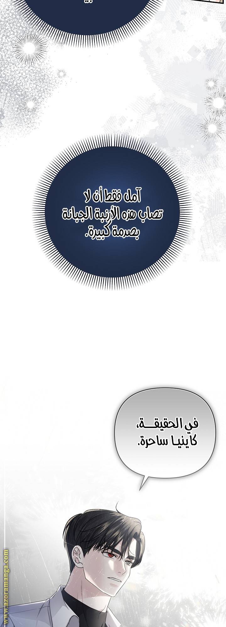 الصفحة 30