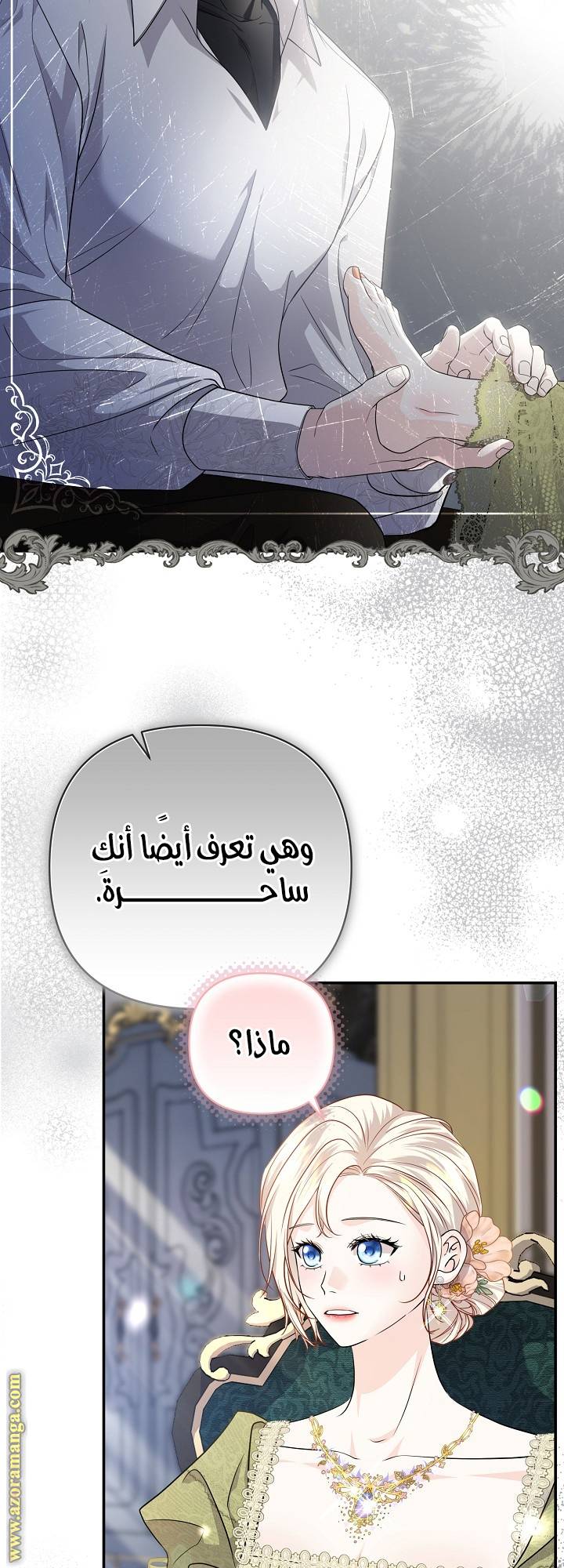 الصفحة 31