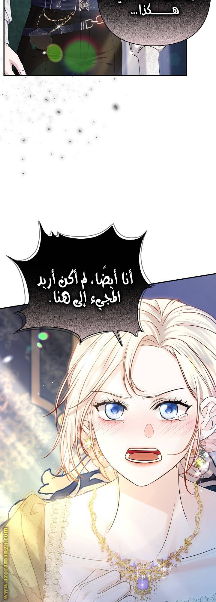 الصفحة 53