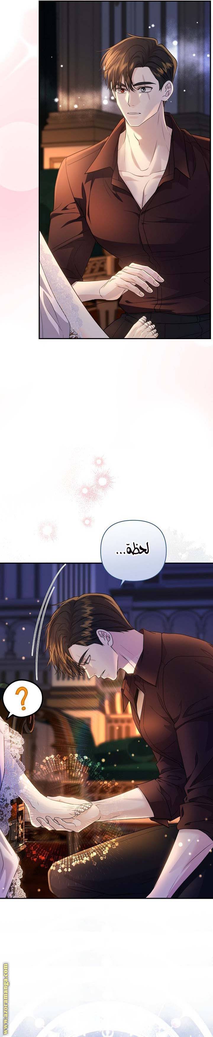 الصفحة 11