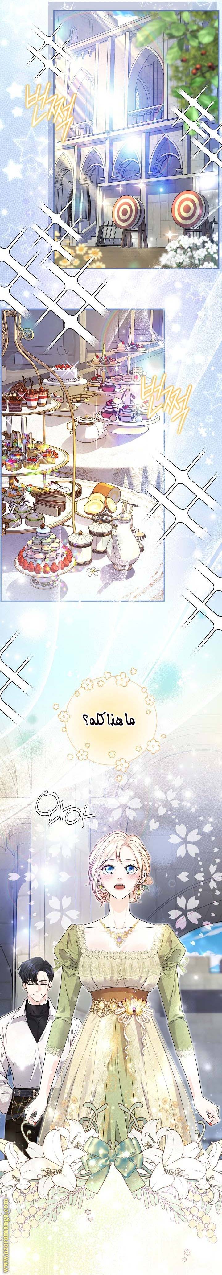 الصفحة 17