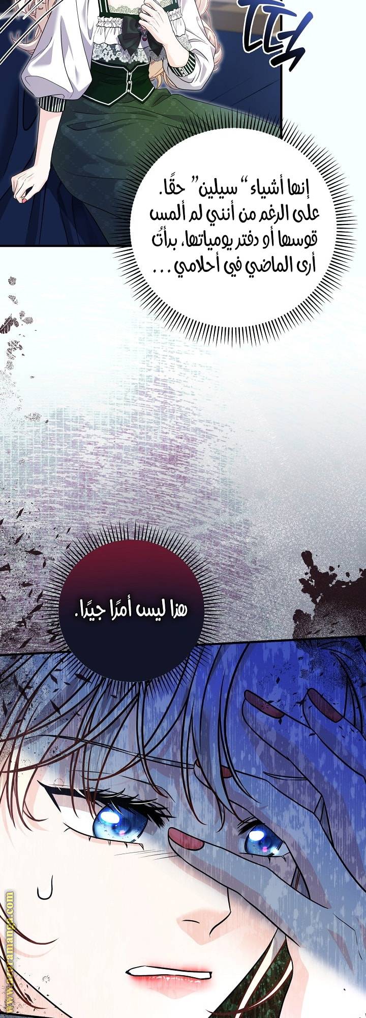 الصفحة 13