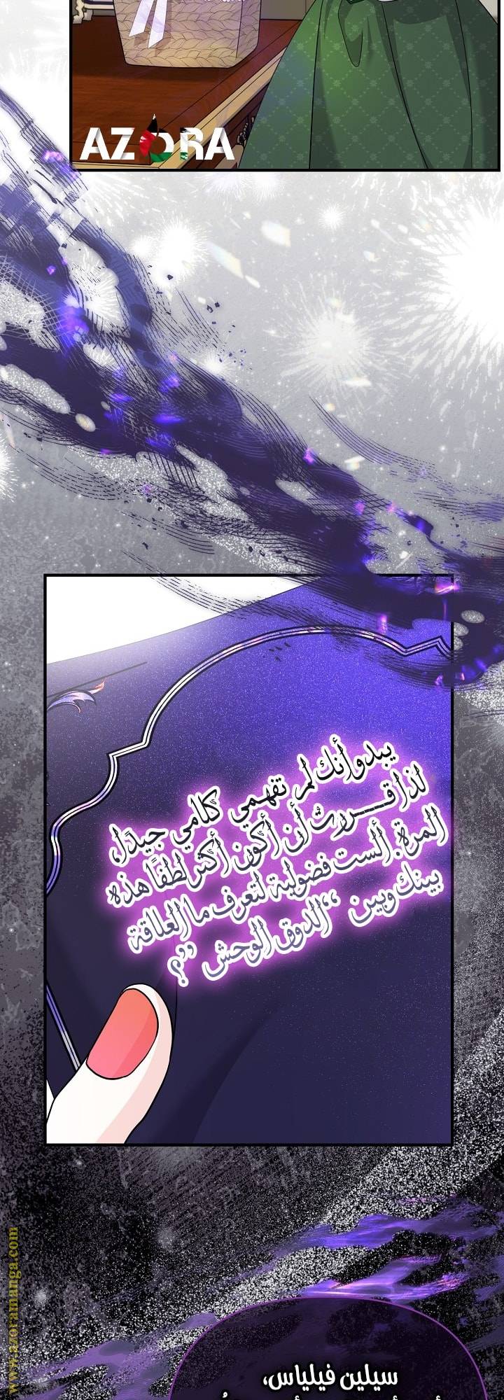 الصفحة 17