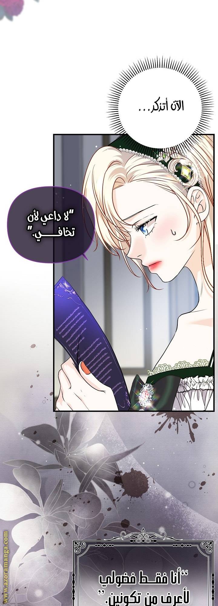 الصفحة 25