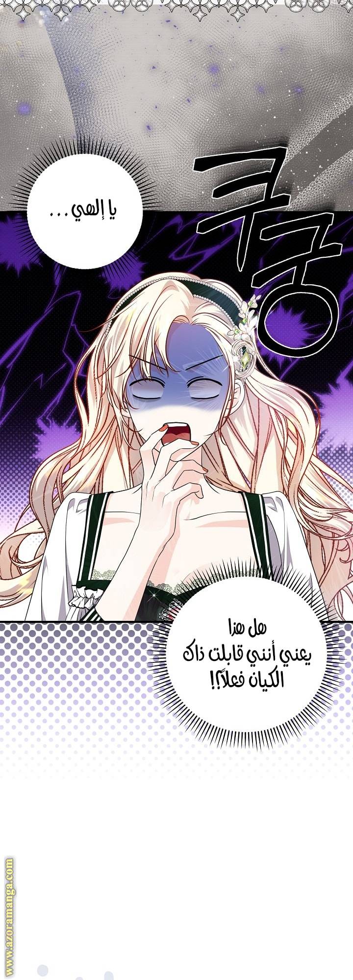 الصفحة 27
