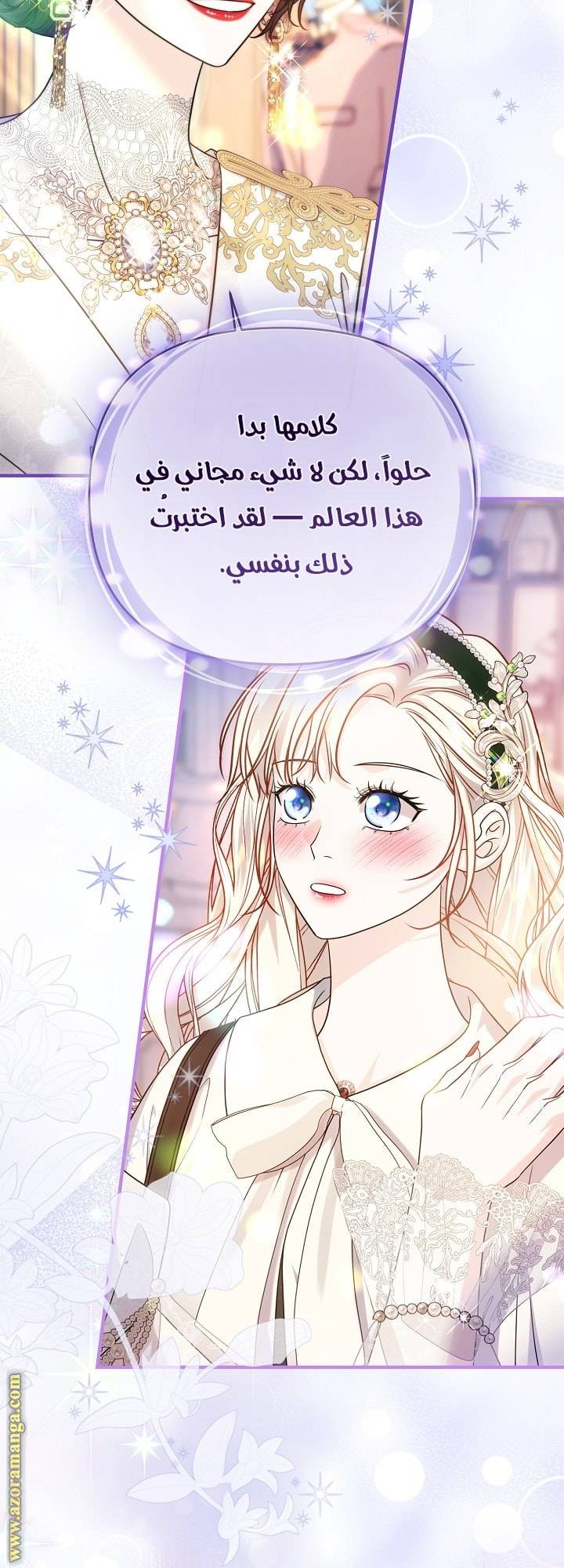 الصفحة 17