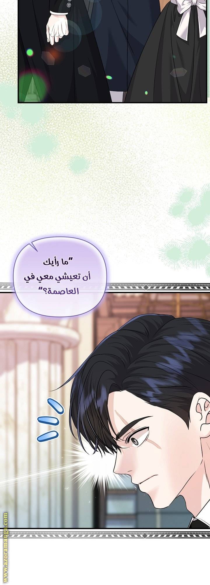 الصفحة 43