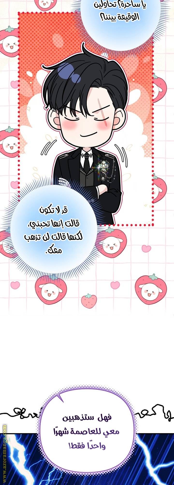 الصفحة 48