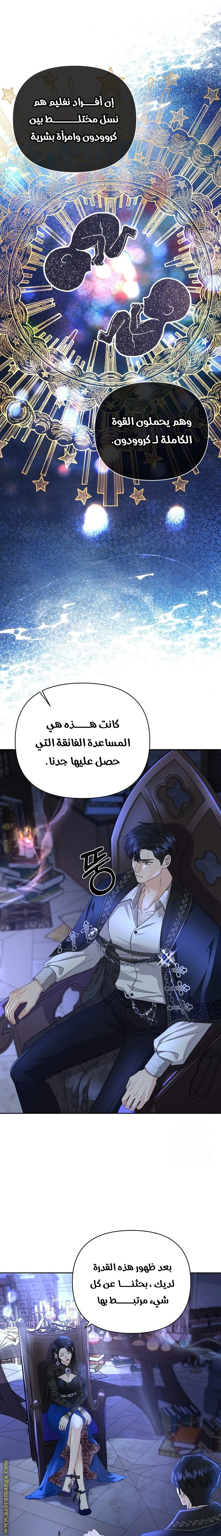 الصفحة 17
