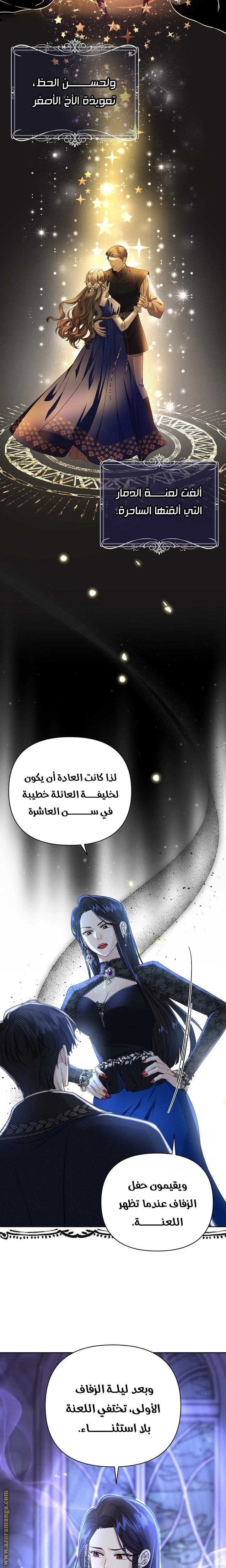 الصفحة 22