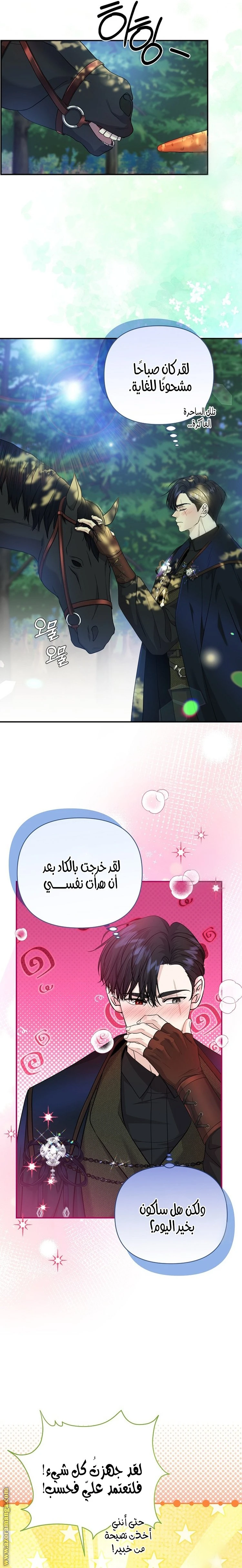 الصفحة 11