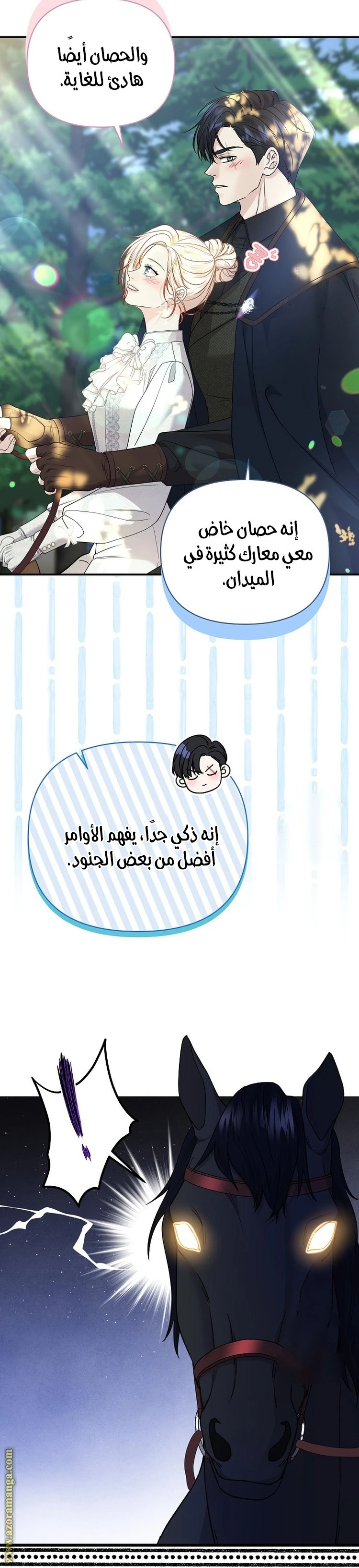 الصفحة 17