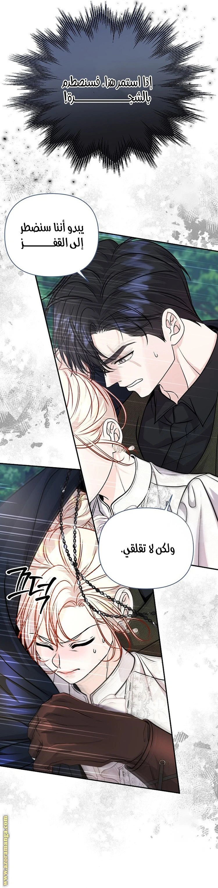 الصفحة 19