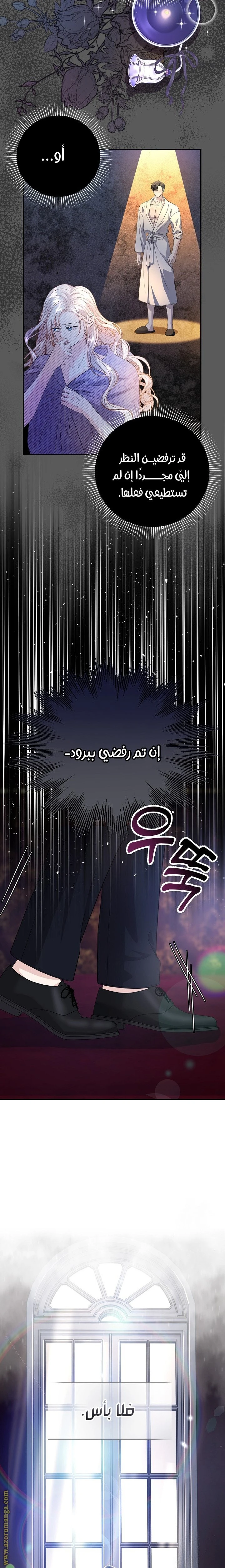 الصفحة 19