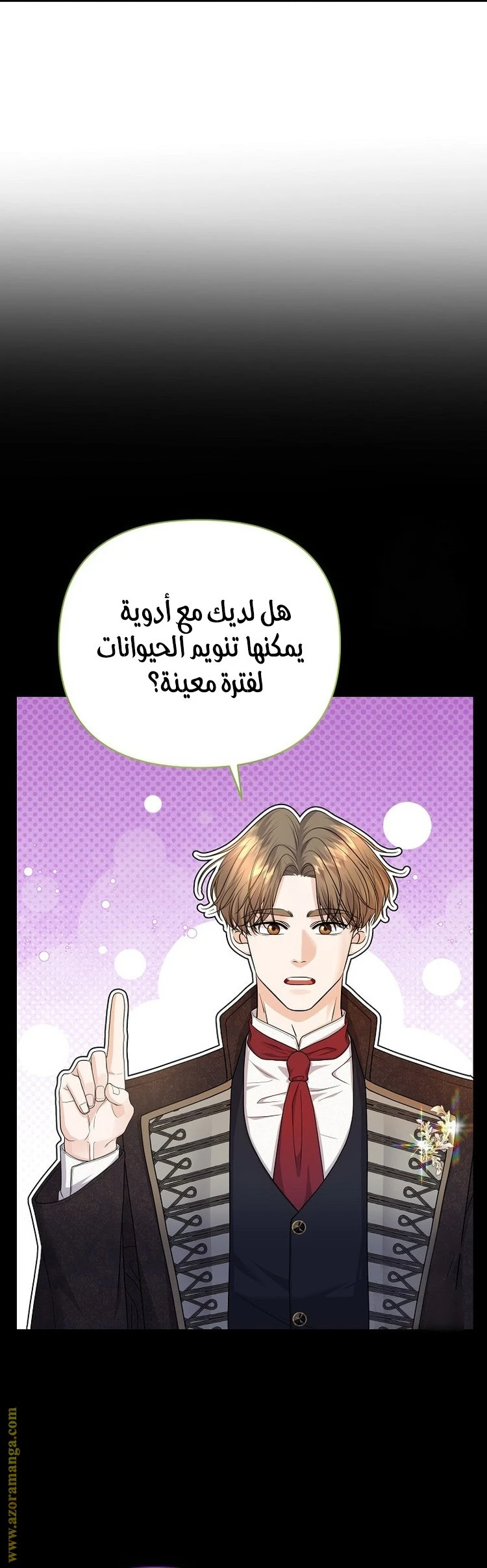 الصفحة 17