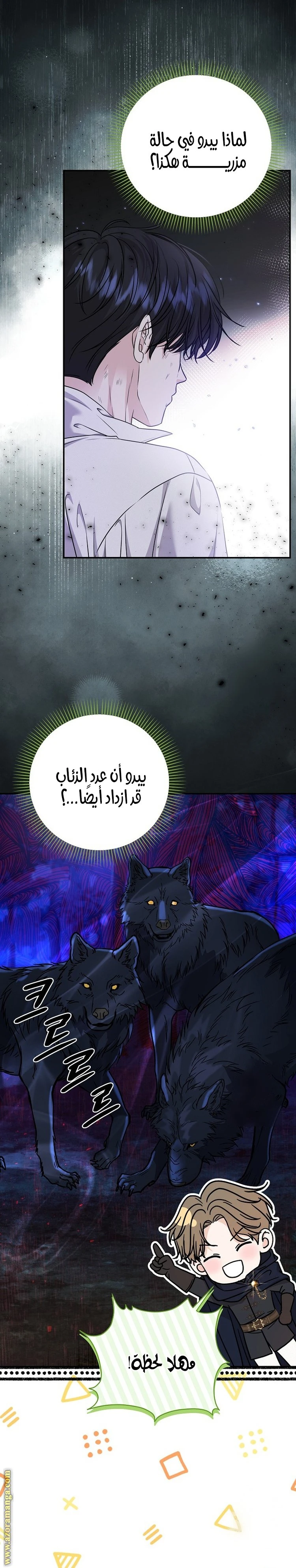 الصفحة 24