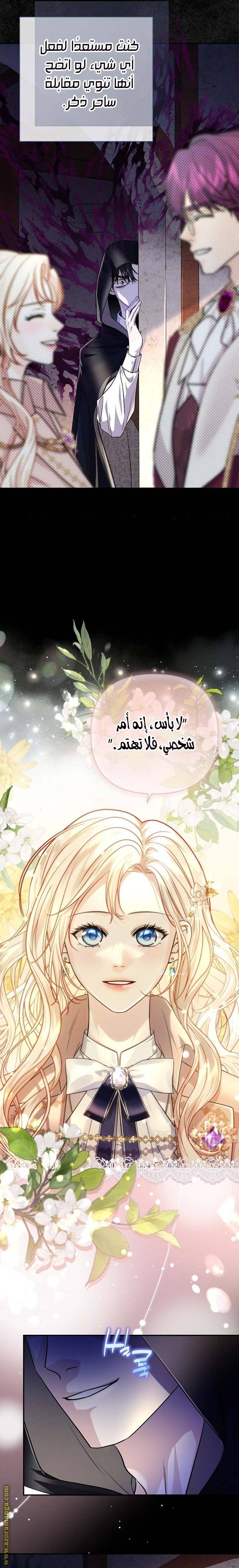 الصفحة 13