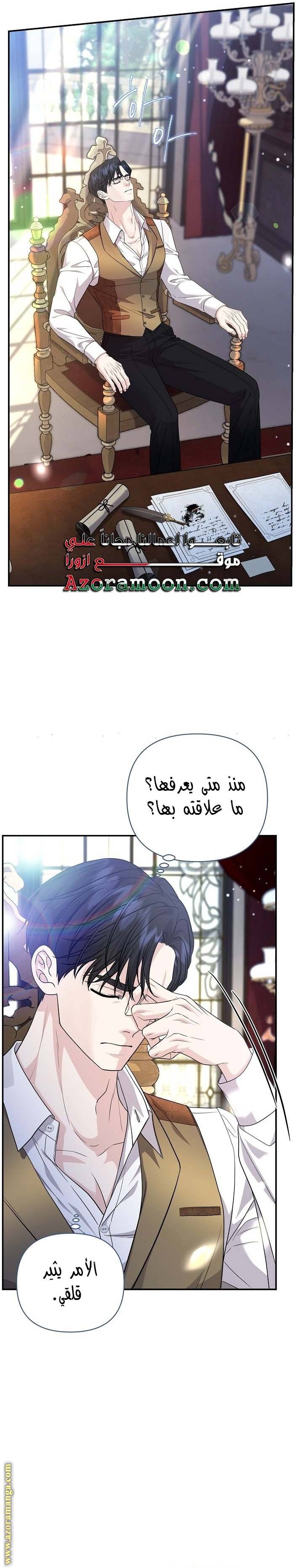 الصفحة 27